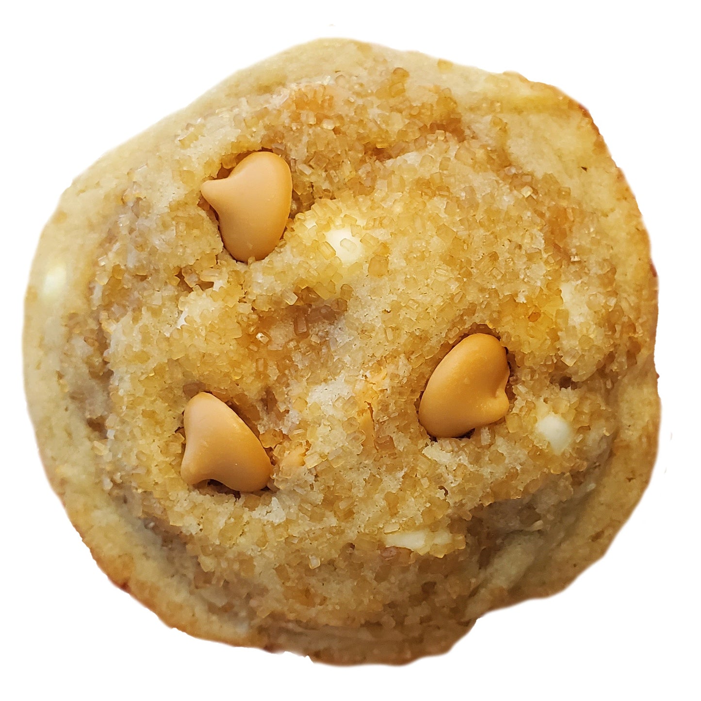 Cookie with butterscotch chips on a white background